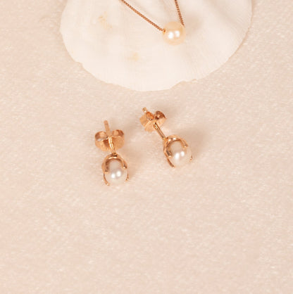 Aretes Luz